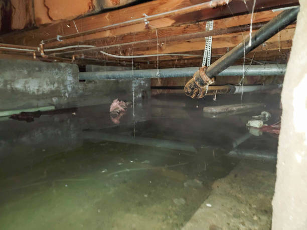 Best Water damage contractors near me  in Larned, KS