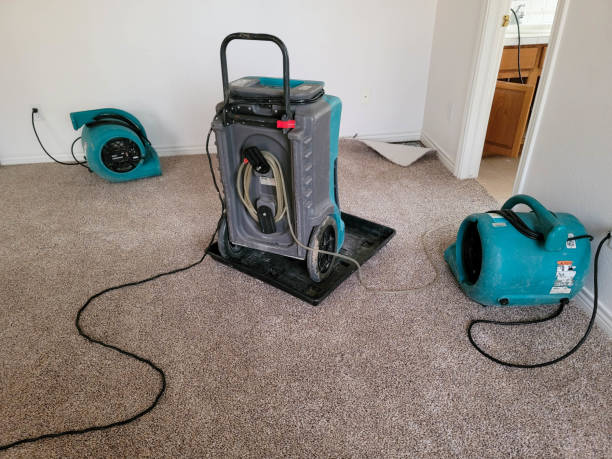 Best 24-hour water damage restoration  in Larned, KS
