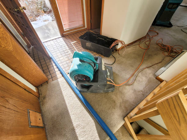 Best Flooded house restoration  in Larned, KS