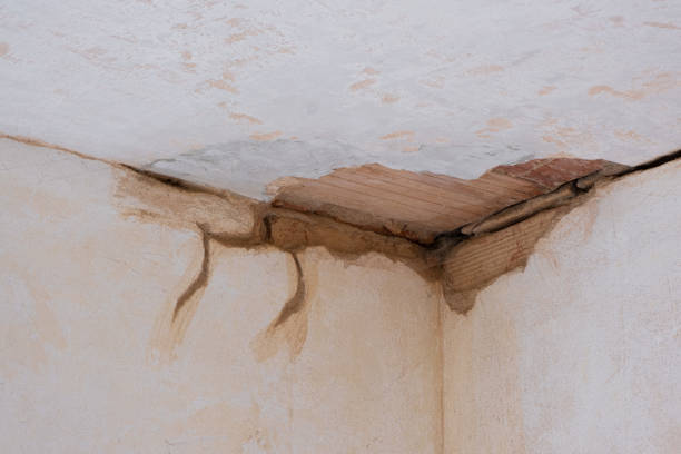 Best Sewage cleanup and water damage restoration  in Larned, KS