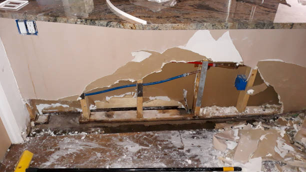 Best Carpet water damage restoration  in Larned, KS