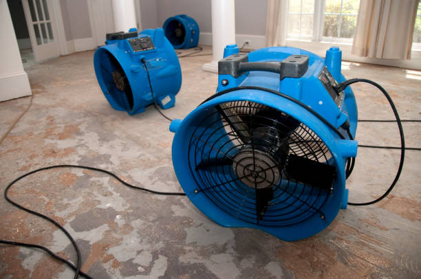 Best Residential water damage restoration  in Larned, KS