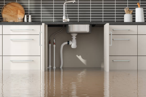 Best Ceiling water damage repair  in Larned, KS