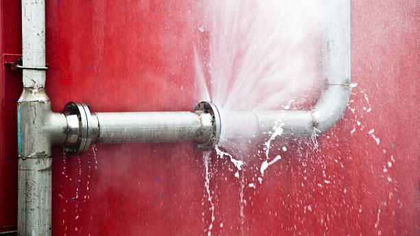 Best Mold removal after water damage  in Larned, KS